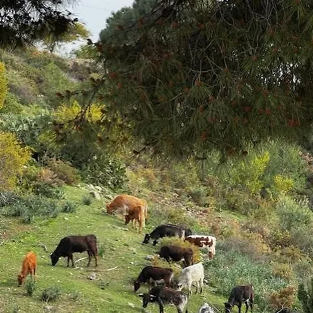 Cozy Close To Puerto Banus דירה