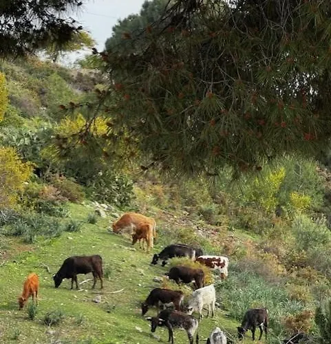 Cozy Close To Puerto Banus Daire